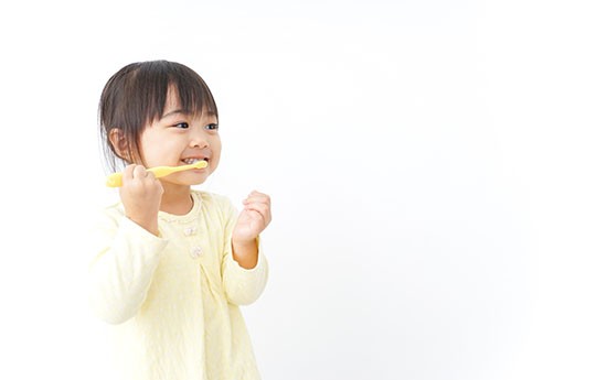 ※画像はイメージです。