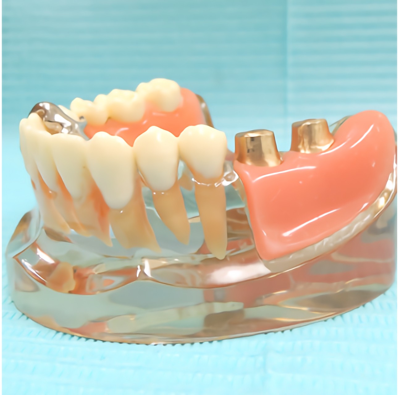 お気軽にご相談下さい