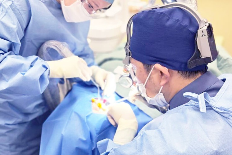 日本口腔インプラント学会専修医の認定を受けた院長が数多くの症例実績をもとに、精度の高いインプラント治療を提供しています