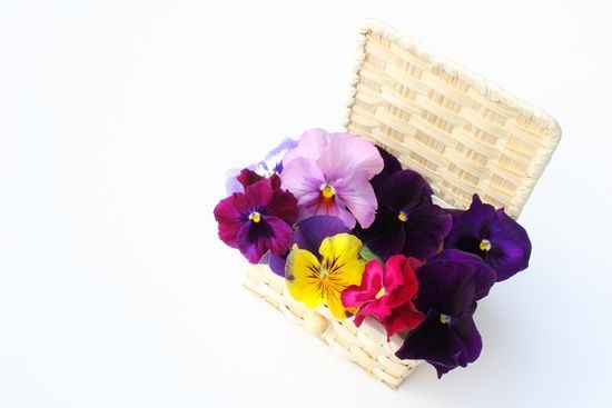 お気軽にご相談下さい