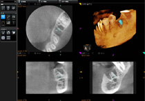 正確な診断を行います