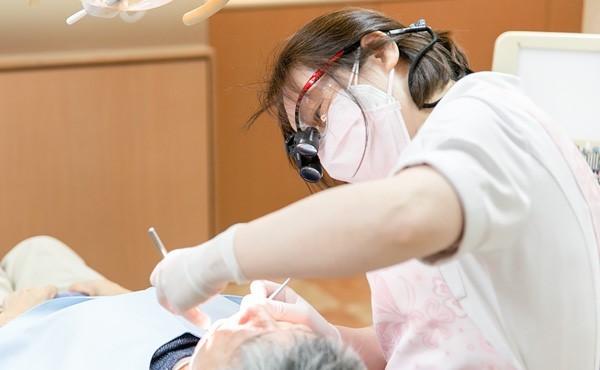 定期的な健診やお手入れを行います