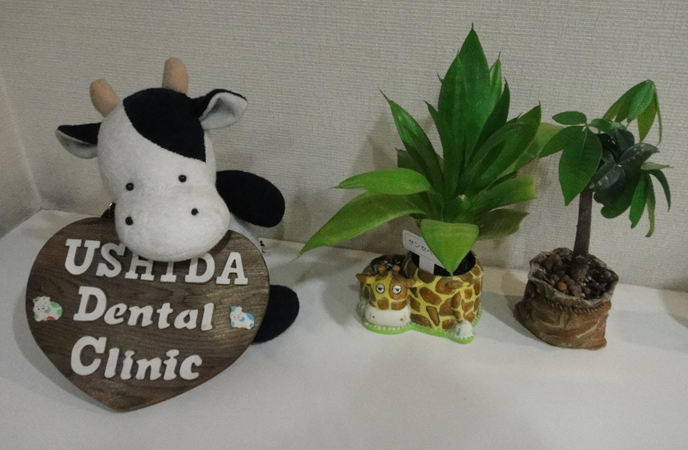 必要最小限の治療と予防重視の姿勢で長期的な口腔健康を支援