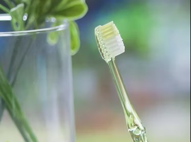 お口の健康に関するどのような悩みも気軽に相談できる環境が整っています。