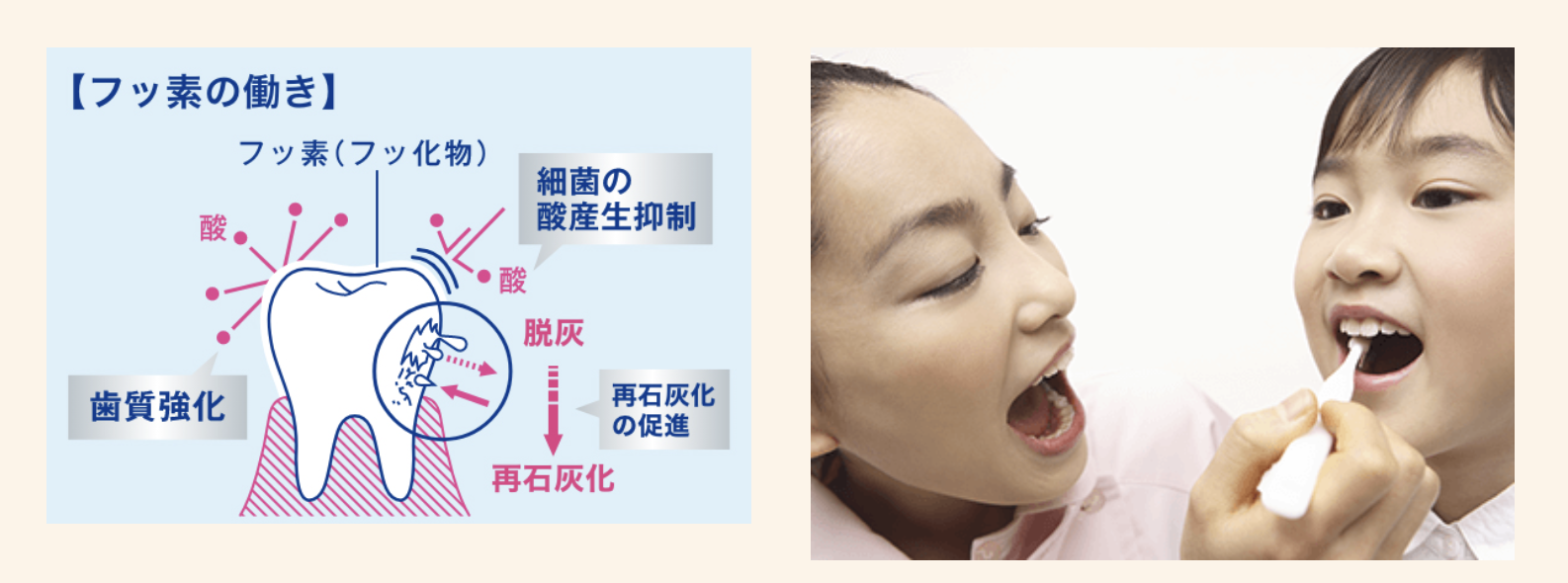 お子さまの歯が健康に育つよう丁寧にサポートしています