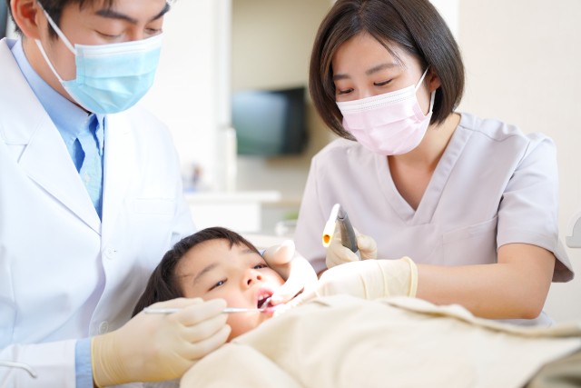 写真はイメージです