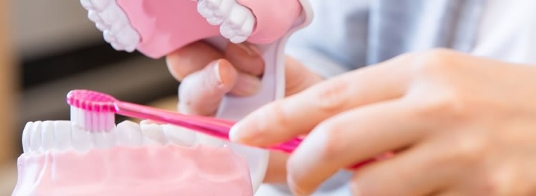 お口の健康を生涯維持し美しい歯を保ちましょう