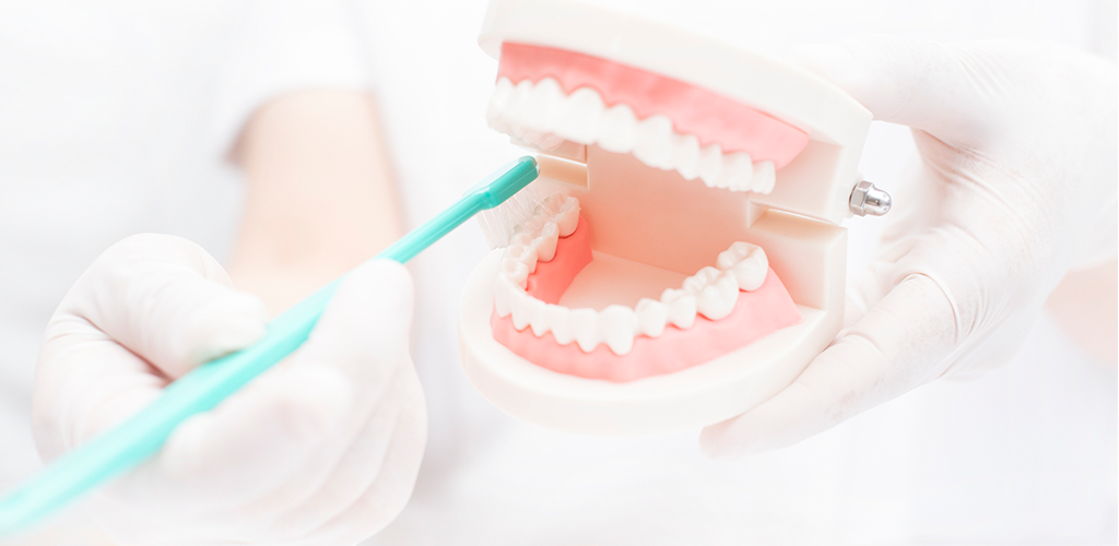 歯周病治療はプラークコントロールが基本です