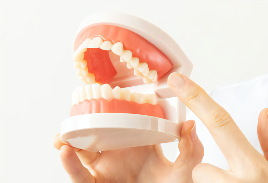 有床義歯治療を提供