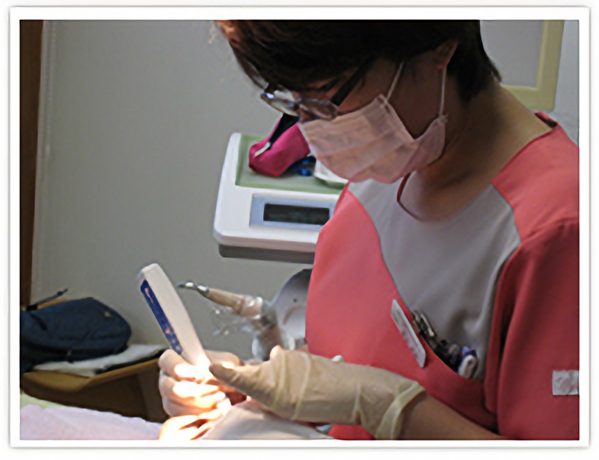 定期的にプロによるメンテナンスを受けましょう