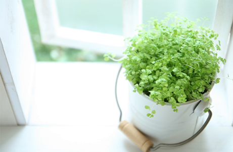 安心で信頼できる歯科医療を提供いたします