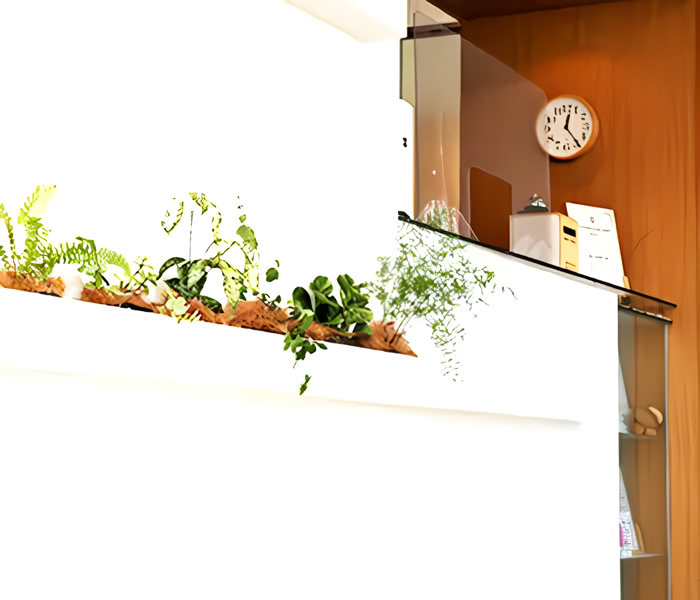 お子さまから成人まで幅広い年代の患者様に対応した矯正歯科治療を行っています