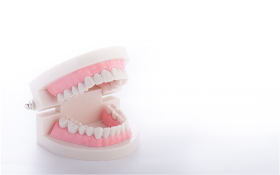 お気軽にご相談下さい