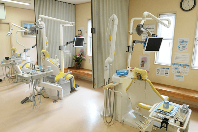 自然な美しさと機能を追求