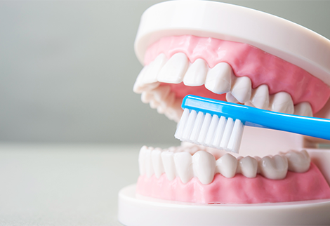 歯周病から守る日常のケアを