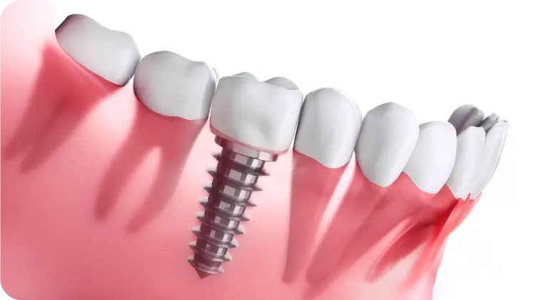 ※画像はイメージです。