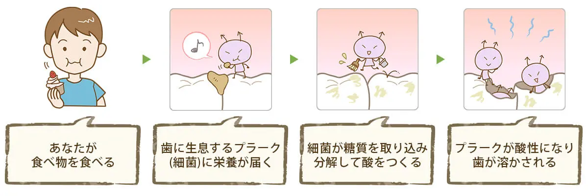 痛みの少ない治療で、むし歯や歯周病をしっかりと改善します