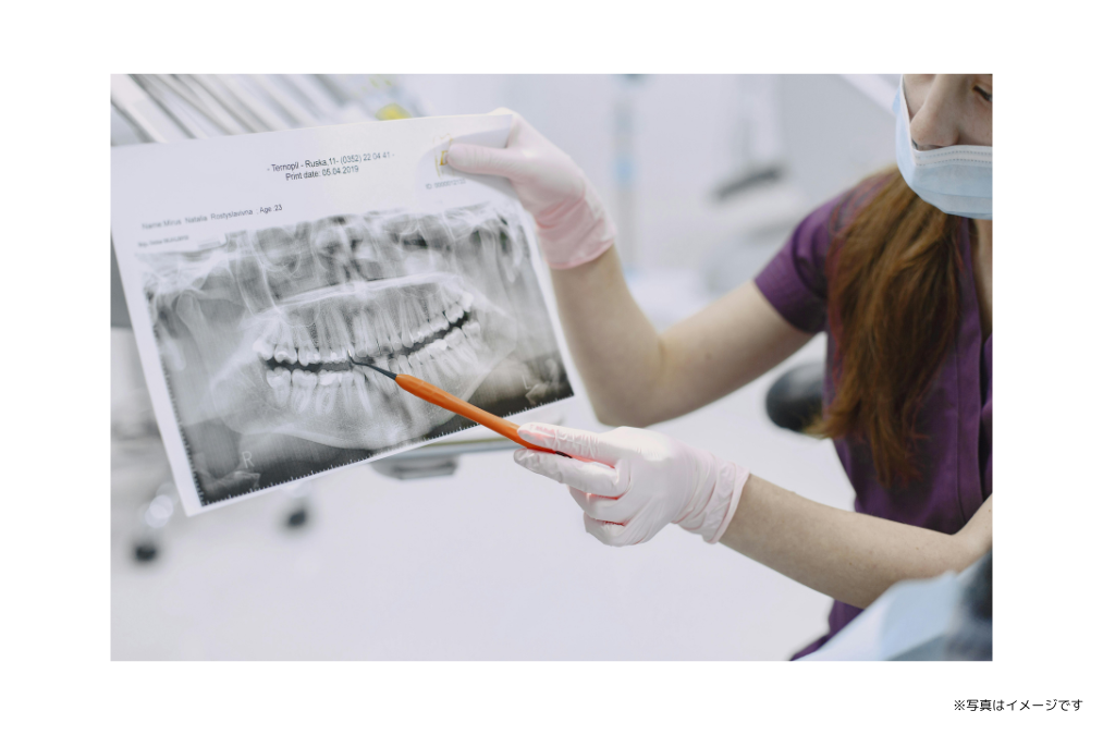 ※写真はイメージです