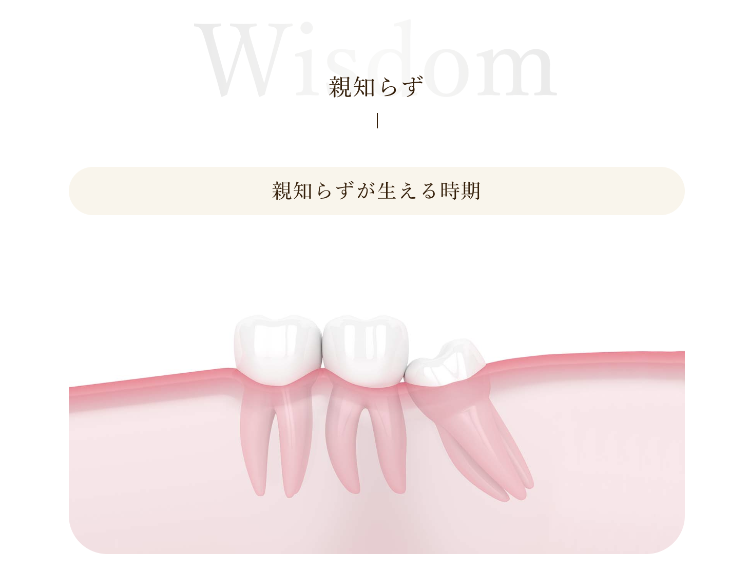 患者様の状態に合わせた適切な対応を心がけています