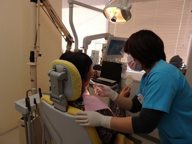 ブラッシングのチェック