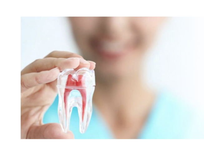 重度の虫歯に対する根管治療を高精度で行い、歯の保存を目指しています