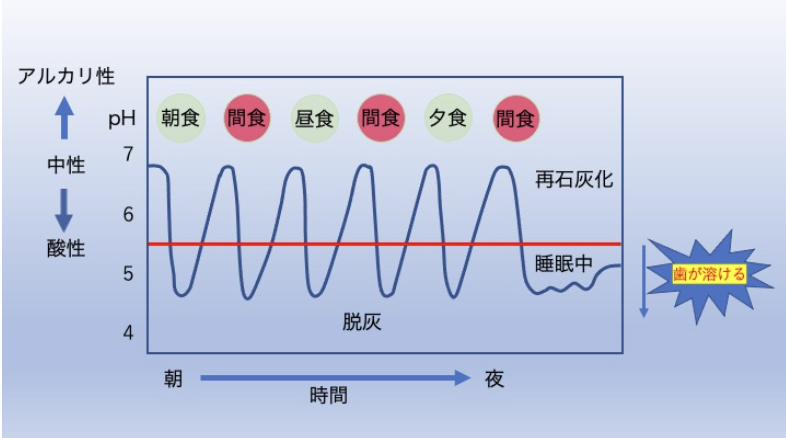 適切なケアと早期発見で、健康な歯を守るお手伝いをしています