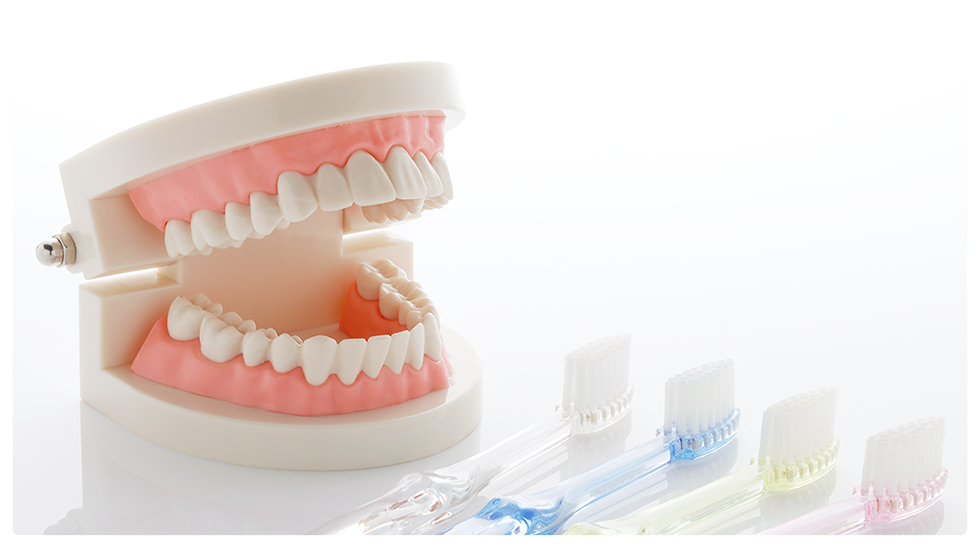 歯やお口周りの症状を診療いたします