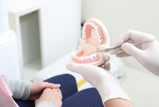 丁寧な説明の様子