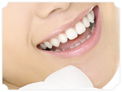 お気軽にご相談下さい。