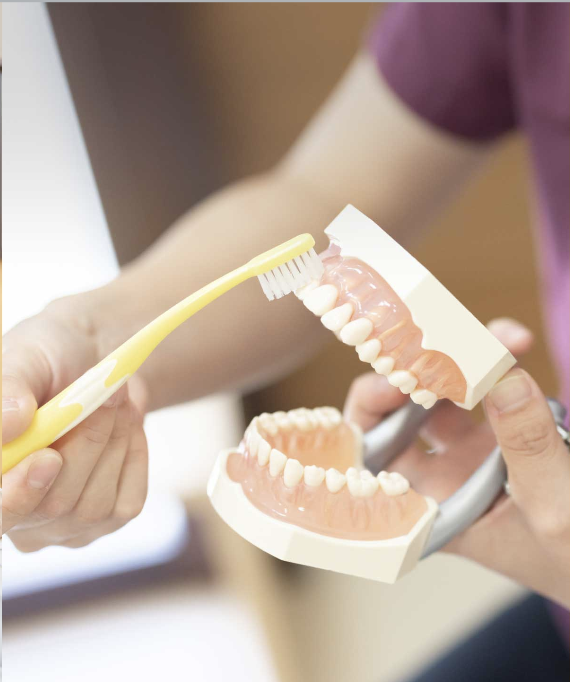 歯の汚れをとる歯磨きの方法を説明します。