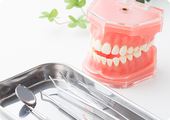 成人の約8割が歯周病です