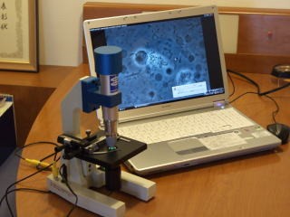 先進機器を活用し、見落としのない丁寧な診療を実現