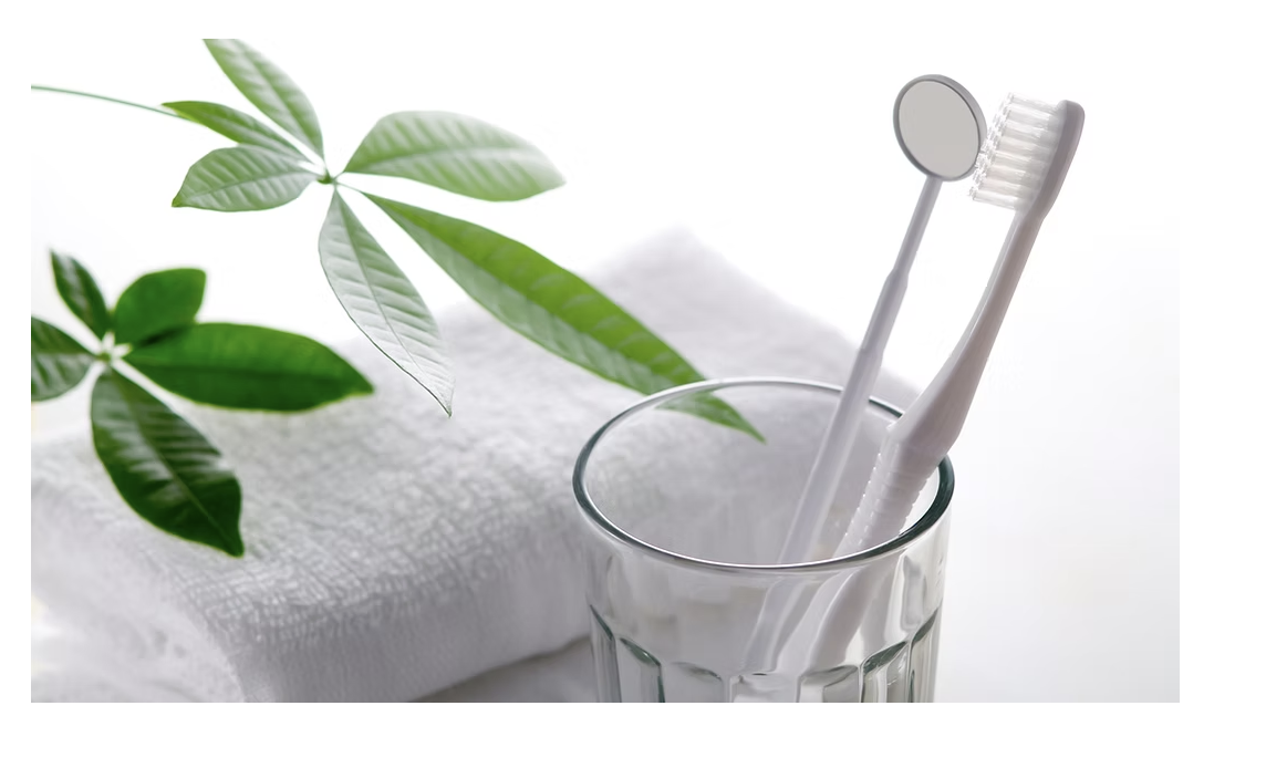 一般歯科と小児歯科を通じて、患者様の健康をサポートする治療を提供しています