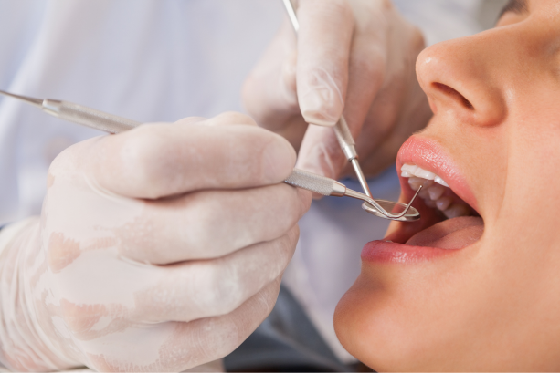 ※画像はイメージです。