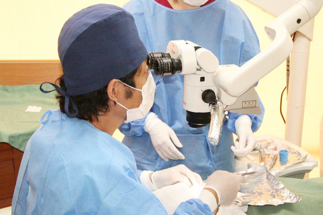 CT撮影とシミュレーションソフトを活用した精密なインプラント治療を提供しています