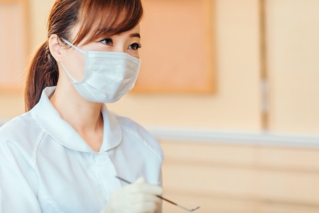 写真はイメージです