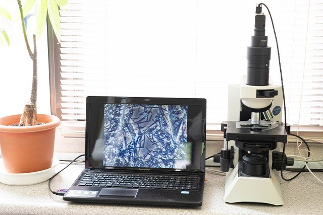 科学的な検査と薬を使った治療で、歯周病の根本改善をめざす