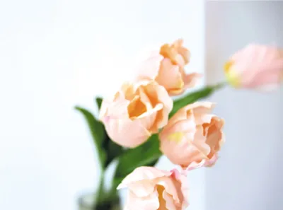 ①受付②診療室③花