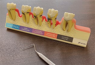 ※画像はイメージです。