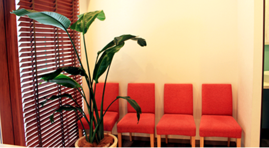 【インプラント治療対応】【金町駅 徒歩3分】安心の歯科治療を提供するふじい歯科