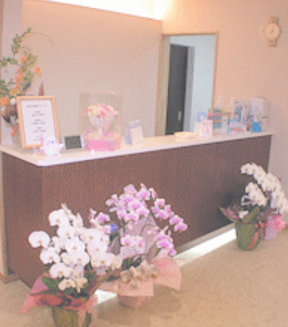 【土曜日診療あり】患者様一人ひとりに対して丁寧で安心な治療を心がけるクリニック「はなもも歯科クリニック」