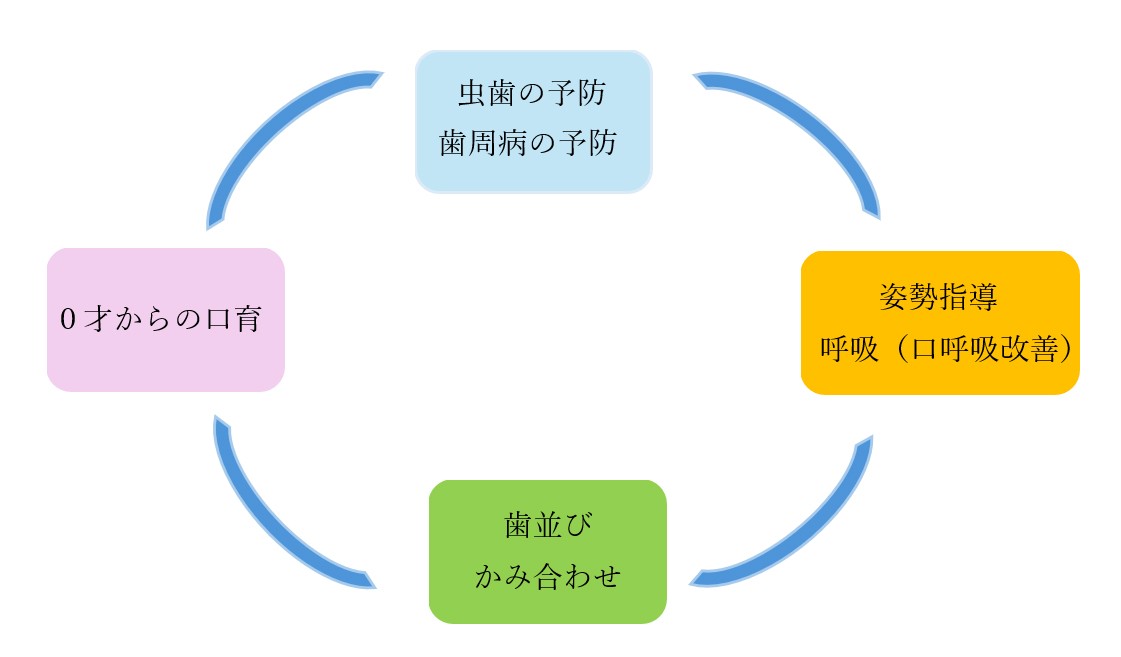 幼い頃からの歯のケアが健康寿命に繋がります