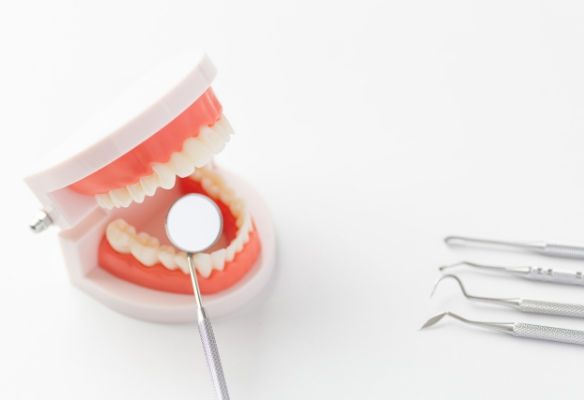 金属床義歯は、食事の感覚や快適さを重視する方におすすめの選択肢です