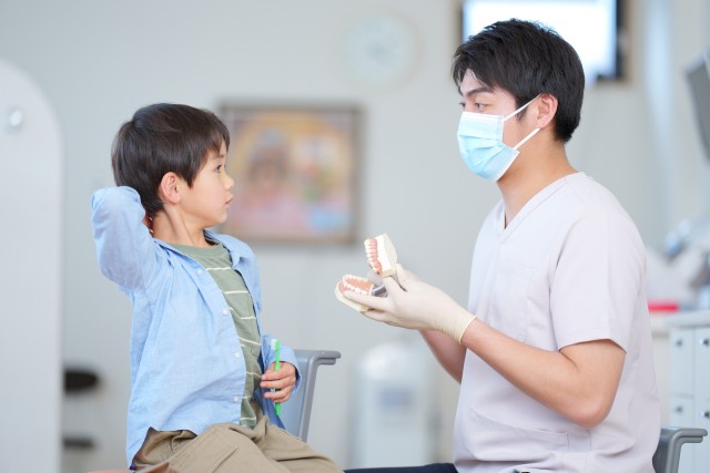 写真はイメージです