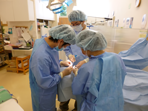 インプラント手術の様子