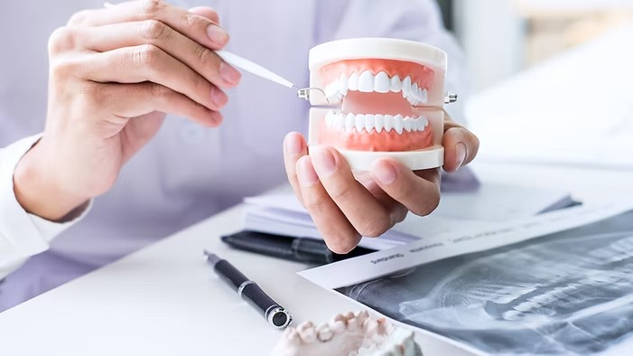 虫歯、歯周病、入れ歯など何でもお気軽にご相談下さい。