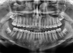 どんな些細なことでもお気軽にご相談ください