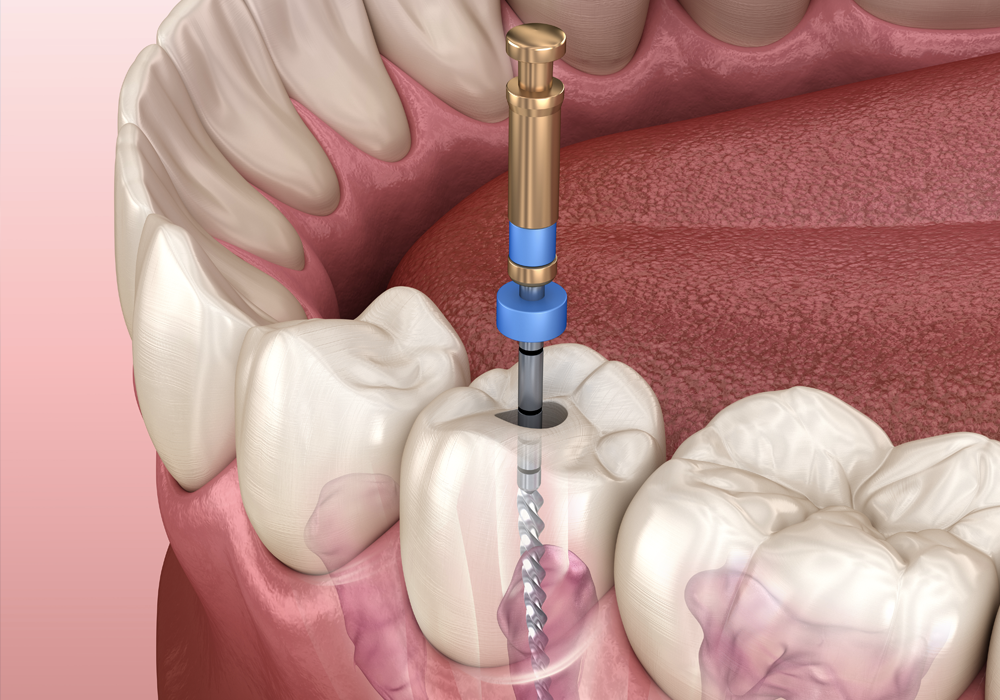 ※画像はイメージです。