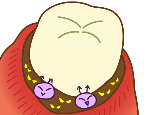 口腔内の健康を回復するサポートをします。※画像はイメージです。
