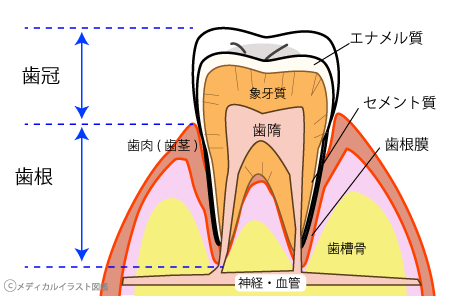 進行を防ぐために気になる症状があれば早めの受診をおすすめします